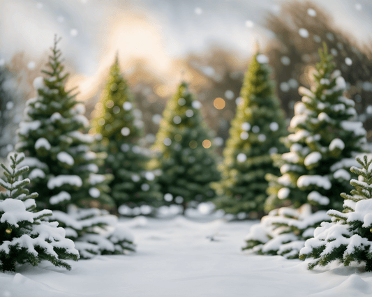 Everything you should know about Christmas 2024