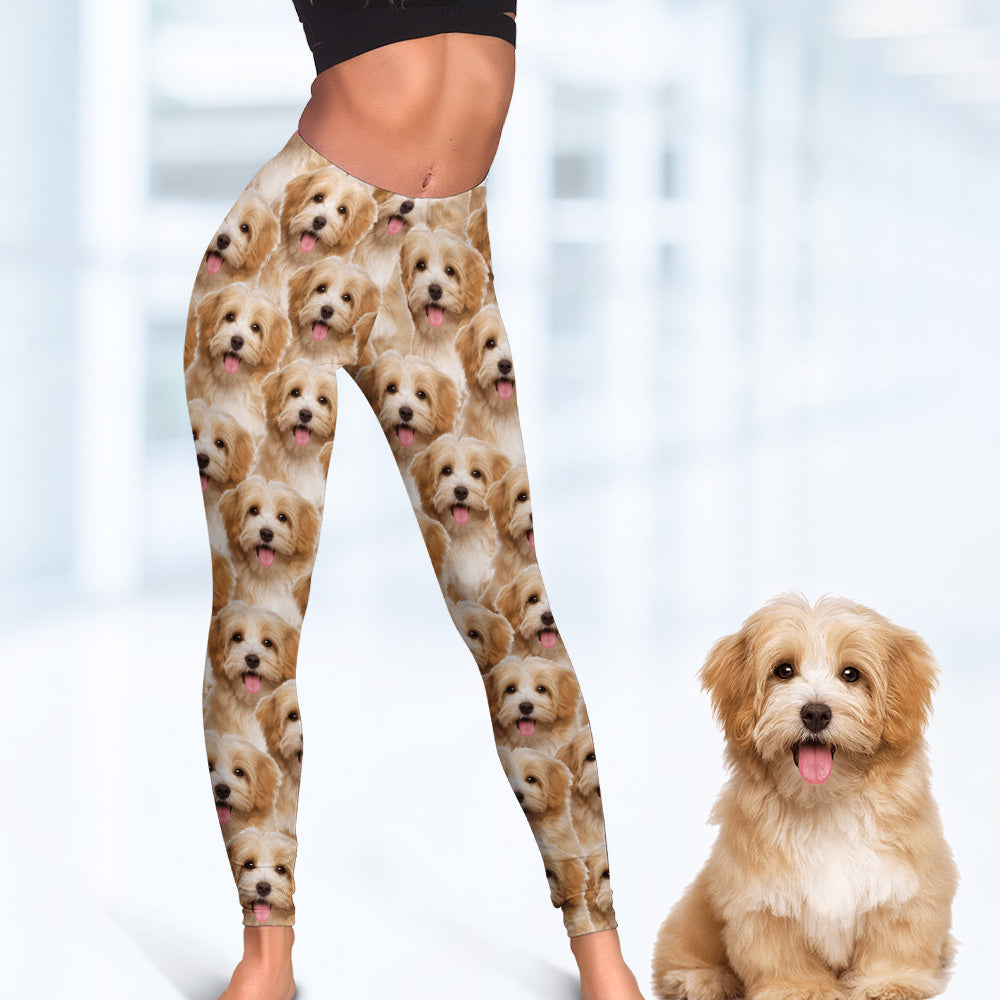 Upload Image Dog Legging